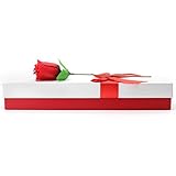 2017 Novelty Valentines Gift For Her 2 Sexy T-back Rose Flower Underwears In a Fancy Gift Box Plus Valentine Card For Valentines Day or Special Occasion - Say I Love You With This