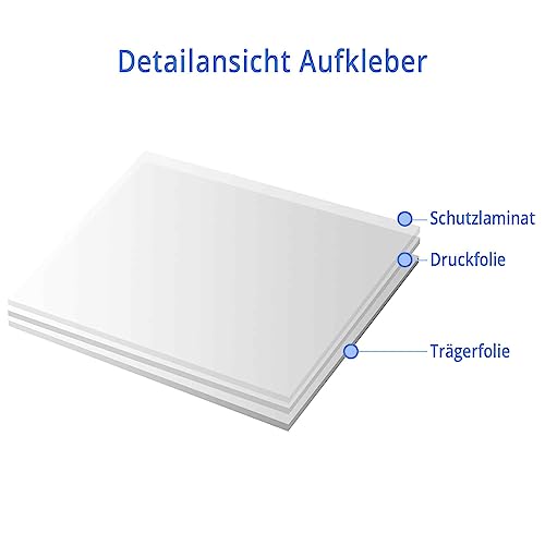 kleberio Selbstklebender Aufkleber Sticker Autoaufkleber wetterfest Blumen Mülltonne Blumenwiese Dekoration Fensterbild Fliesenaufkleber 10 x 10 cm - Weiße Gänseblume -