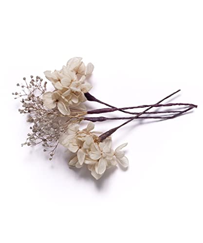 Dita fB[X  hCt[ s  a  sN  x[W O[  Zbg ȒPAW (2.×ݑ,FREE(t[TCY))