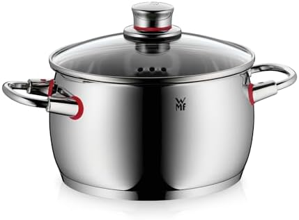 WMF Quality One Kochtopf groß 20cm, Glasdeckel mit Dampföffnung, Nudeltopf, Fleischtopf Induktion 4,1l, Cromargan Edelstahl poliert, unbeschichtet