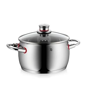 WMF Quality One Kochtopf groß 20cm, Glasdeckel mit Dampföffnung, Nudeltopf, Fleischtopf Induktion 4, 1l, Cromargan Edelstahl poliert, unbeschichtet