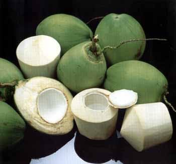 3 Fresh Pieces of Young Coconut