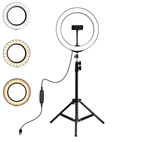 Ring Fill Light Point 18W