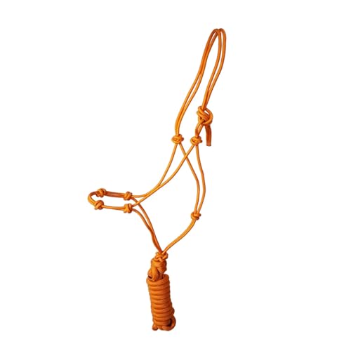 JF-Reitsport Knot Halter Set with 4 Knots, Rope Halter with 280 cm Lead Rope, Full Size, (Orange)