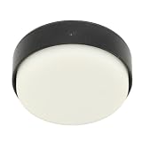 Omquot Cuscinetto di Manutenzione del Cuscino della Cassa Dell'orologio in Gel Morbido per la Riparazione del Movimento Dell'orologio, Diametro 55 Mm (Bianco)