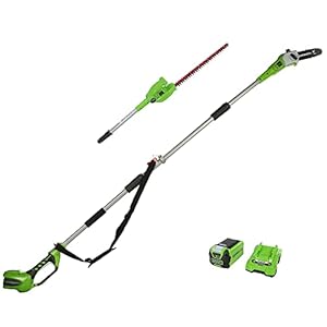 Greenworks Cordless 2-in-1 Pole Saw and Pole Hedge Trimmer with Shoulder Strap, Pole Saw 20cm Bar, Trimmer 51cm Dual Action Blades, WITH 40V Battery and Charger G40PSH