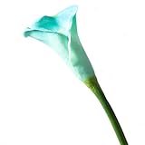 ❀ 【Nachahmungsblumen, die nicht verblassen】: Callalilie kann ohne die Sorge des Verwelkens lange gelagert werden, und die Simulation ist hoch; Die floralen Produkte sind pflegeleicht. Wischen Sie sie einfach mit einem feuchten Tuch ab