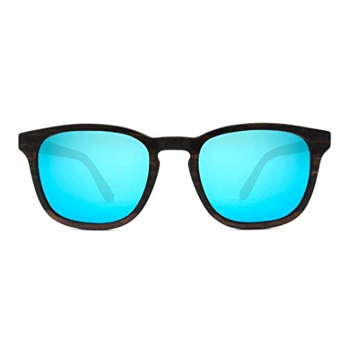 Traveler Sunglasses2