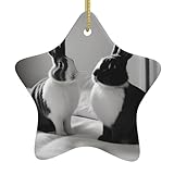 Design versatile: con la sua forma pentagonale a stella, WZYWHJ Un paio di conigli bianchi e neri con stampa ciondolo può essere utilizzato per varie occasioni e preferenze personali, rendendolo una decorazione versatile e unica per qualsiasi ambiente festivo.