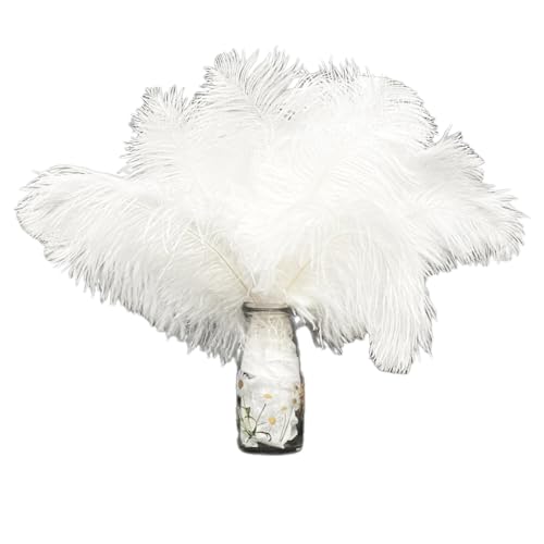 12Pcs Plumas de Avestruz Blancas 10-12inch(25-30cm),Plumas de Avestruz Naturales Plumas para Centros de Mesa de Boda Decoración del Hogar Jarrón Oficina Habitación Cumpleaños Fiesta Decoración