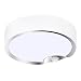 TOOWELL Motion Sensor Ceiling Light Battery Operated Indoor/Outdoor LED Ceiling Lights for Hallway Laundry Stairs Garage Bathroom 300LM White Photocell Sensor ON/Off Upgrade