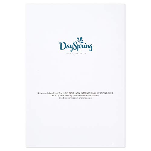 Hallmark 5DSI6002 Dayspring Assorted Religious Birthday Cards thumb #9