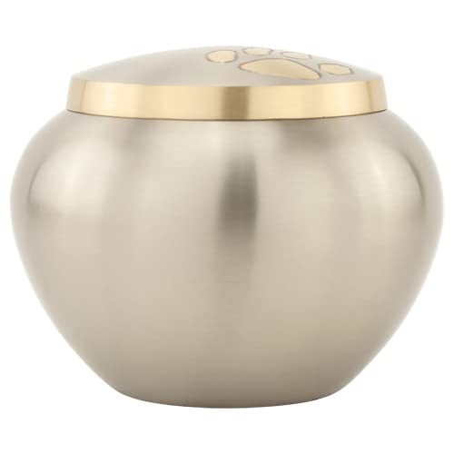 Paw Print Round Pet Cremation Urn for Ashes in Pewter - Medium, Brass, Silver - Dog & Cat Urn - 4 Inches High
