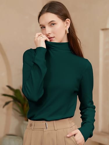 Image of DAIMIDY Turtleneck Sweaters for Women Long Sleeve Pullover Tops | Knitted Material| Soft, Warm and Breathable| High Resilience and Tensile Strength Design| Business Casual Tops| Dailywear