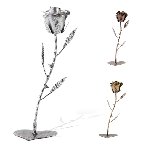 AevrBlos Iron 6 Year for Her, Metal Rose Iron Gift