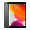 2019 Apple iPad (10.2-pulgadas, Wi-Fi + Celular, 32GB) Gris Espacial (Reacondicionado)