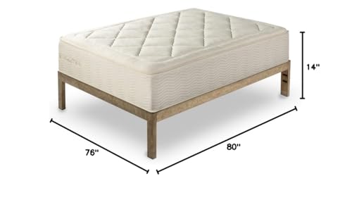 The Frame Gold Brushed Steel Frame Platform Metal Bed Frame/Mattress Foundation, No Boxspring Needed, Wooden Slat Support, King, 14" H