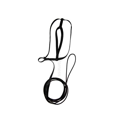 Image of The AVIATOR Pet Bird Harness and Leash: X-Large Black
