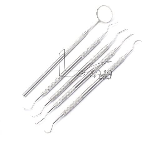 LAJA IMPORTS 5PC Assorted Stainless Steel Dental Picks