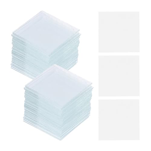 FUNOMOCYA 100 Sheets/Box x 5 Boxes Microscope Slides 22x22mm Cover Glasses for Lab