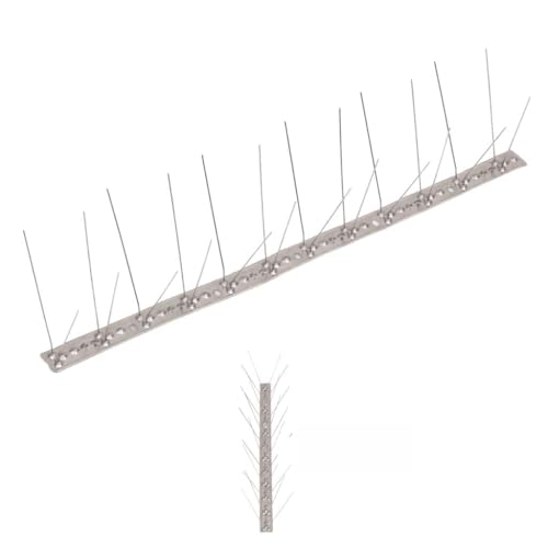 sephironlbb Juego de 20 púas antipalomas de acero inoxidable, 10 m, 4 filas, para jardín, terraza, balcón, desván, ahuyentador de animales, antipájaros, sin veneno, resistente a la intemperie, defensa