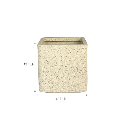 Image of ROTO Box Square Planter Pot Set | Premium LLDPE Outdoor Indoor Plant Pots | Modern Decorative Garden Planters for Home Balcony Office Patio (Dot Cream, 1 - (12X12X12 inch), Set of 2)