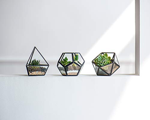 Mkono Artificial Succulent In 3 Pack Mini Glass Geometric Terrarium, Miniature Potted Faux Plant Bookshelf Desk Boho Office Room Decor For Women Girls Dorm Gift Idea, Black #TOP4
