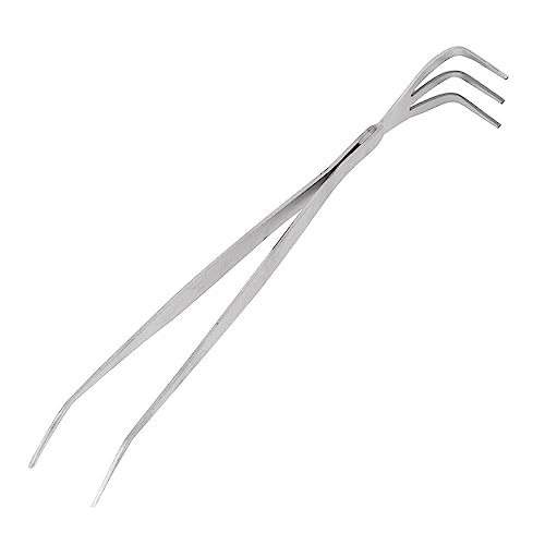 Stainless Steel Bonsai Root Rake Tweezers 2-in-1 Tool for Enthusiasts