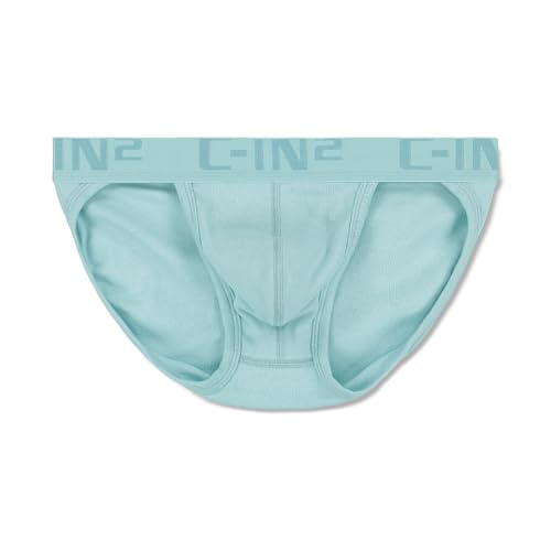 C-IN2 Core Dash Brief4