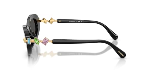 Swarovski Women's Sk6042 Oval Sunglasses3