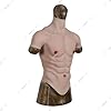 WQCMZO Realistic Silicone Muscle Suit for Men - Chest & Abs Torso Costume for Crossdressing, Transgender, Halloween Party,Color 3,S #1