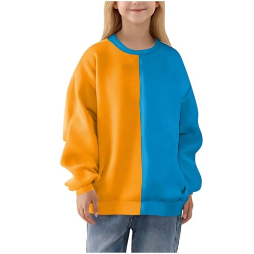 Girls Crewneck Sweatshirt Fashion Long Sleeve Color Block Basic Pullover Tops Kids Casual Going Out Loose Streetwear A- Blue