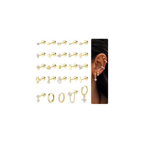 CASSIECA 25Pcs Piercing Oreja Pendientes Acero Inoxidable Mujer Pendientes Aro Pequeños Conch Tragus Pendientes Dorados Piercing Oreja Cartílago Piercing Helix Piercing Tragus