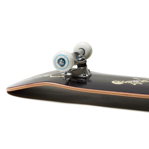 Image of [CCS] Skateboard Complete | Maple Wood | Professional Grade | Fully Assembled with Skate Tool & Stickers | Adults, Kids, Teens, Youth | Boys & Girls