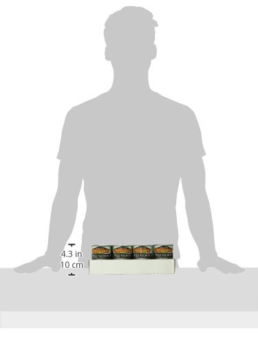 Evanger's Dog & Cat Food Grain Free Salmon For Dogs & Cats - 24, 6 Oz Cans #TOP6