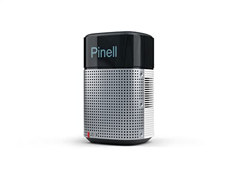 PINELL North White, Internetradio, Spotify Connect, DAB+ & FM Tuner, Bluetooth 5.0, WLAN, AUX, Kopfhöreranschluss, 20 Watt RMS, Equalizer, Senderspeicher, Netz und Akkubetrieb, weiß Cover