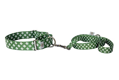 Martingale Dog Collar Cactus with Six Foot Leash (Large, Green Shamrock)