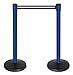 QueueWay PLUS - QPLUS-23-S7 - blue post, 2" wide, 10