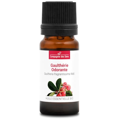 GAULTERIA OLOROSA - 10 mL - Aceite Esencial Orgánico de Calidad Superior - 100% Puro, Natural, Quimiotipado y Certificado Cosmos