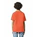 Gildan Youth Ultra Cotton T-Shirt, Style G2000B, 2-Pack, Orange, X-Small
