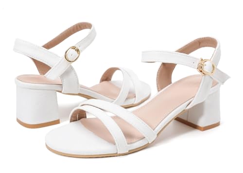 kkdom fB[X I[vgD ANXgbv Ob^[ T_ pvX [ubN `L[q[ EFfBOhXV[Y, zCg, 23.5 cm