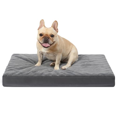 KSIIA Cuccia Cane Interno Taglia Media, Utilizzabile su Entrambi i Lati, Ortopedico Cuscino per Cani Sfoderabile e Lavabile, Letto per Cani Impermeabile, Materassino Cane Grigio Scuro, 75x47x7cm