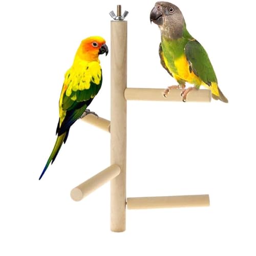 Bird Perch Stand Toy Natural Wood Parrot Perch Parakeet Cage Top Wooden Branches for Standing Toys for Small Medium Parrots Conure Budgie Lovebirds