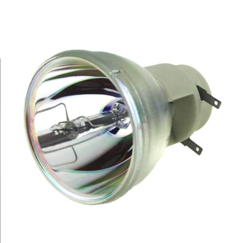 Proyectores SP LAMP 065 for I NFOCUS SP8600 / HD3D / IN8601 (Color : SP LAMP 065 CB)