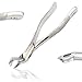 AAPROTOOLS German Grade EXTRACTING Forceps # 88L Dental Instruments Extraction Forceps A+ Quality