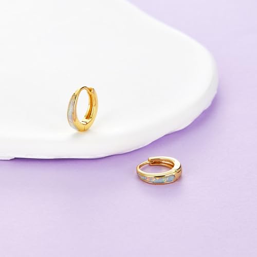 Silver & Gold Earrings for Women Trendy Opal Huggie Earrings Small Gold Hoop Earring 14k Gold Plated Opal Jewelry Birthday Gifts for Women Mom Her4
