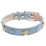 FSSOI Erkennungsmarken mit Gravur für Haustiere, Anhänger mit Pentagramm-Stern-Anhänger, Coole Niete, verstellbares Halsband für kleine, mittelgroße Hunde