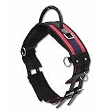 AMKA Longiergurt Reitgurt mit Handgriff aus Leder mit 6 Ringen 2 Ringe für Steigbügelriemen