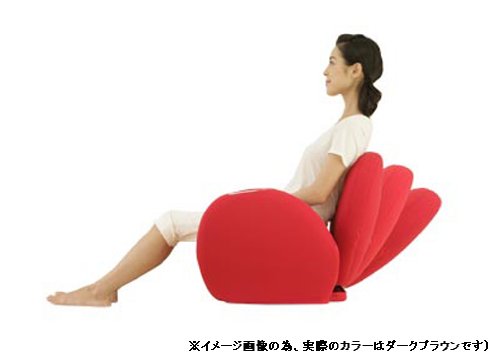 ヒップエクササイズチェア ツカモトエイムの商品 Amazon.co.jp: ツカモトエイム ヒップ エクササイズマシーン
