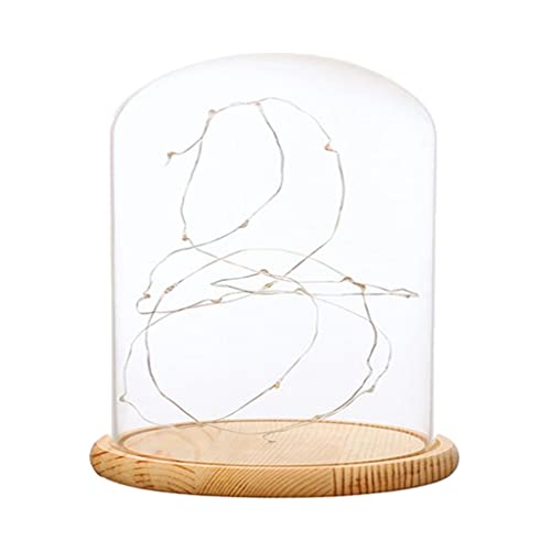 ZOOMELLA Battery Operated LED Lights Glass Cloche Table Lamp Fairy Lights Crafts E|Home & Garden|Home Dacor Other Home Dacor